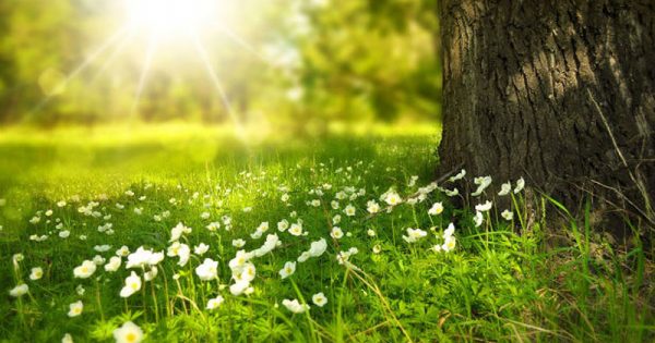 Nazirlikdən hava şəraiti ilə bağlı MÜHÜM AÇIQLAMA