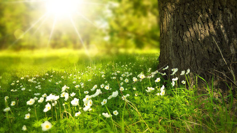 Sabah 38 dərəcə isti olacaq 1 Sabah 38 dərəcə isti olacaq