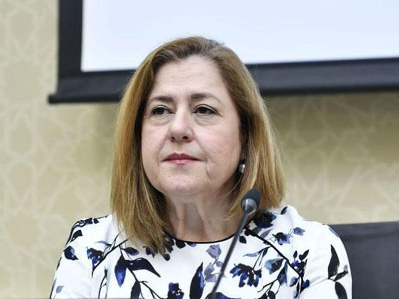 Hande Harmancı yayılan şəkillərlə bağlı açıqlama verdi: Buna görə sizdən üzr istəyirəm 1 Hande Harmancı yayılan şəkillərlə bağlı açıqlama verdi: Buna görə sizdən üzr istəyirəm