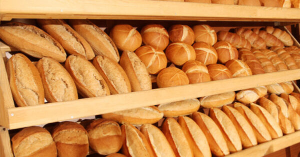 image-corek-1-750x403