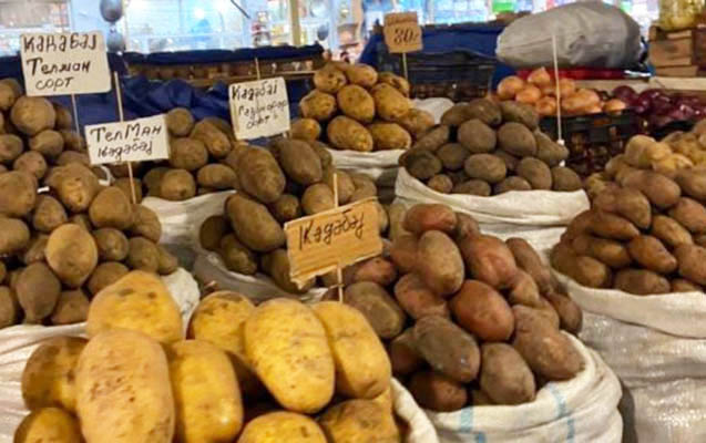 Bakı bazarlarında yerli kartof 30-40 qəpik bahalaşıb - Səbəb nədir? 7 image-sss-1