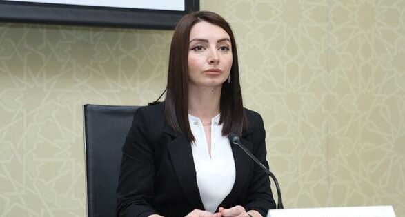 image-trend_leyla_abdullayeva_brifing_130520_4