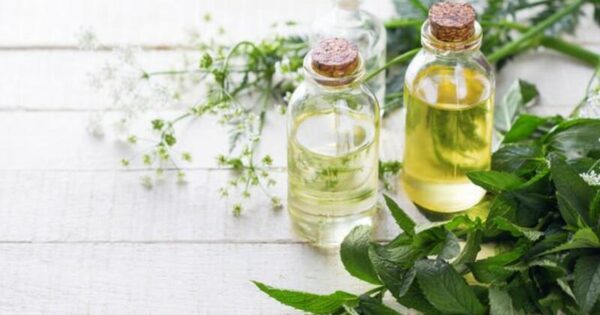 image-1073036_620x360