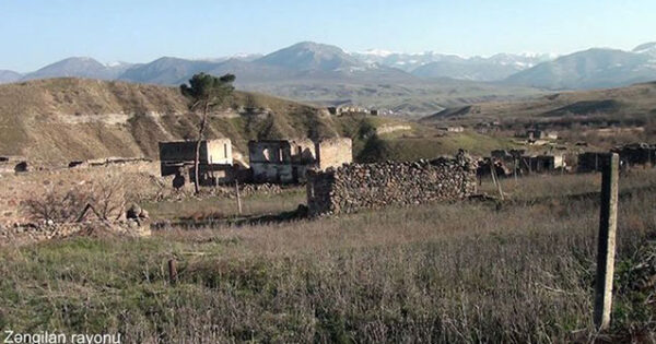 image-baharli-1