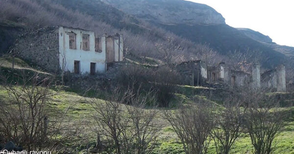 image-mollu
