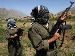 Türkiyə sərhəddə 5 PKK terrorçusunu yaxaladı 1 image-pkk-ermeni