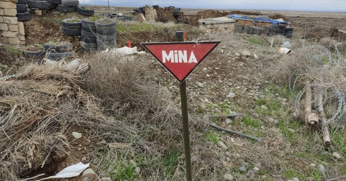 image-trend_mina_150321