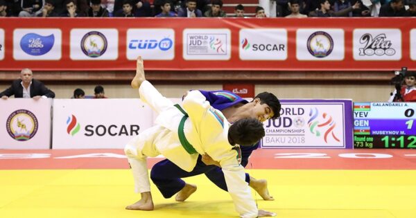 image-1f9a794a-2c7c-3d7c-8add-d40a42e5e637_850