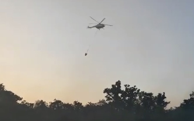 Nabrandakı yanğın söndürüldü – Video