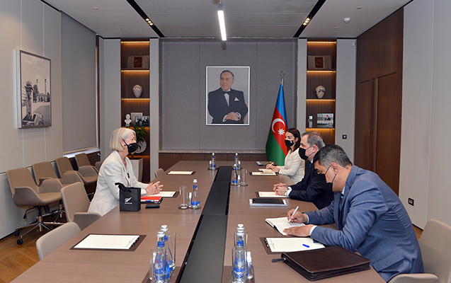 Ceyhun Bayramov azad olunmuş ərazilərdəki mina təhlükəsindən danışdı 1 image-zenlandiya