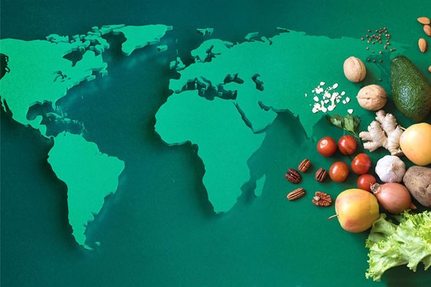 Ərzaq təhlükəsizliyi təhlükə altındadır? - FOTO/VİDEO 9 image-erzaqtehlukesizliyi