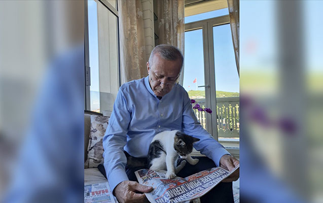 Ərdoğandan “Pıt Pıt Şəkər” paylaşımı - Foto 7 image-erdogan