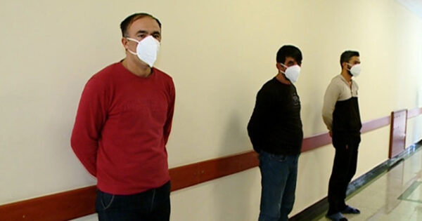 Göygöldə it döyüşdürənlər həbs olundu 7 image-itd