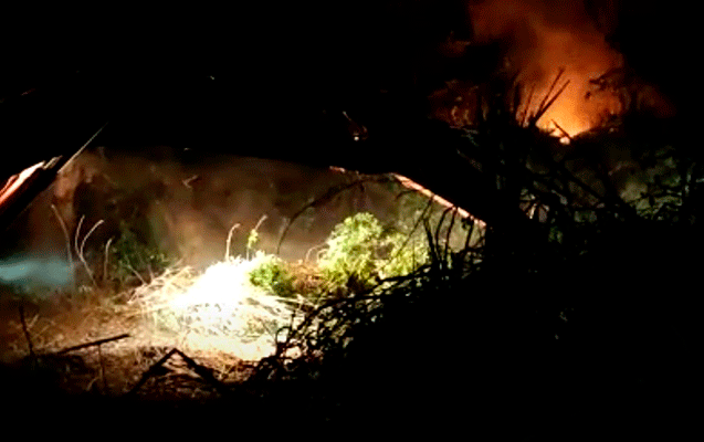Azərbaycan – İran sərhədində yanğın - VİDEO 1 image-miri