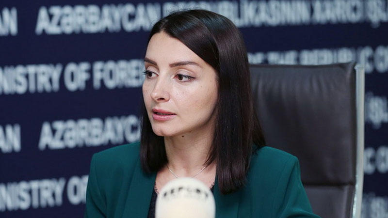 Leyla Abdullayeva səfir təyin edilməsindən danışdı 1 image-1666023754_leyla_abdullayeva-1