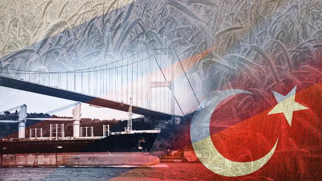 Türkiyənin diplomatik cəhdlərindən sonra Rusiya taxıl müqaviləsinə geri QAYITDI