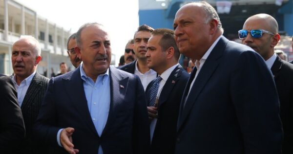 image-misir-disisleri-bakani-samih-sukri