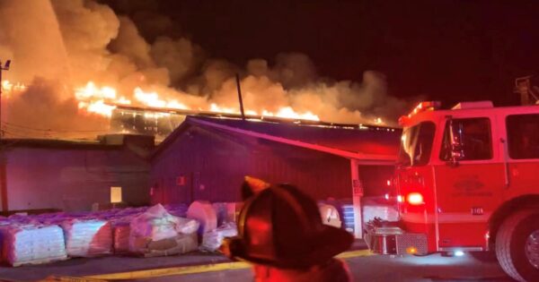 image-factory-fire-reu-1761238