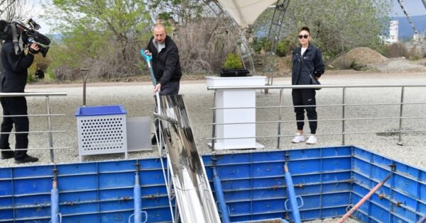 image-2c2e7a5d-9e6a-3ab0-a727-6c77d8604f1c_850