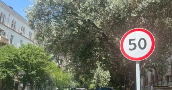image-yol-nisani