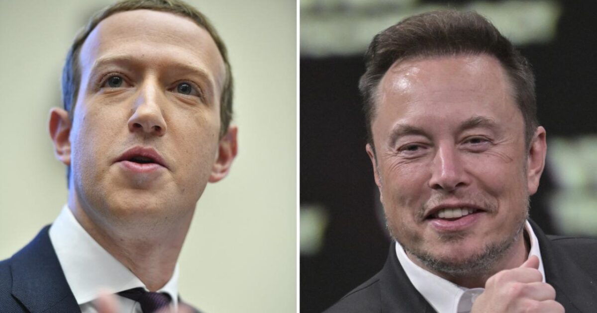 Zukerberq: "Musk "qəfəs döyüşü"ndə ciddi deyil" 1 image-zuckerberq-ve-mask