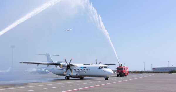 image-georgian-wings