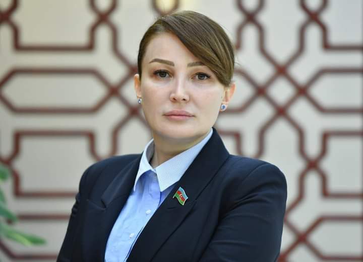 Deputat Jalə Əhmədova beynəlxalq təşkilatlara çağırış etdi 1 image-jale-ehmedova