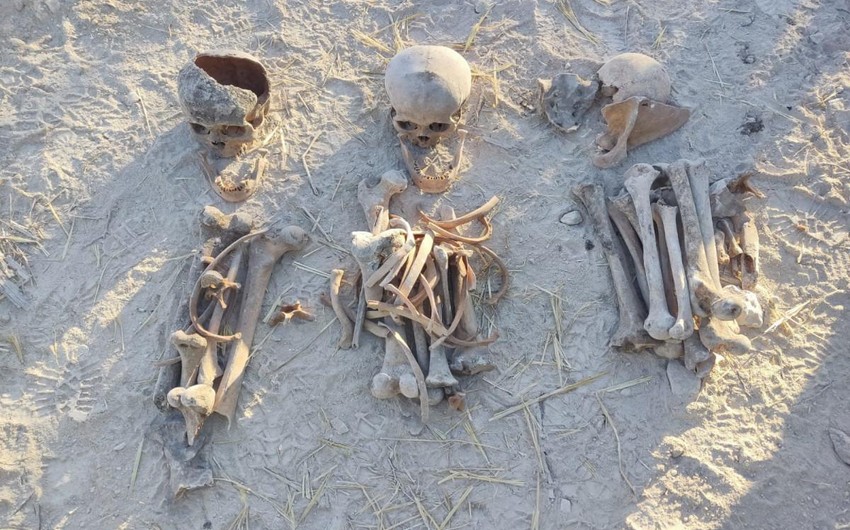 İtkin düşənlərin qohumları və naməlum meyitlərdən bioloji materialın götürülməsi qaydası müəyyənləşib 1 image-mezarliq