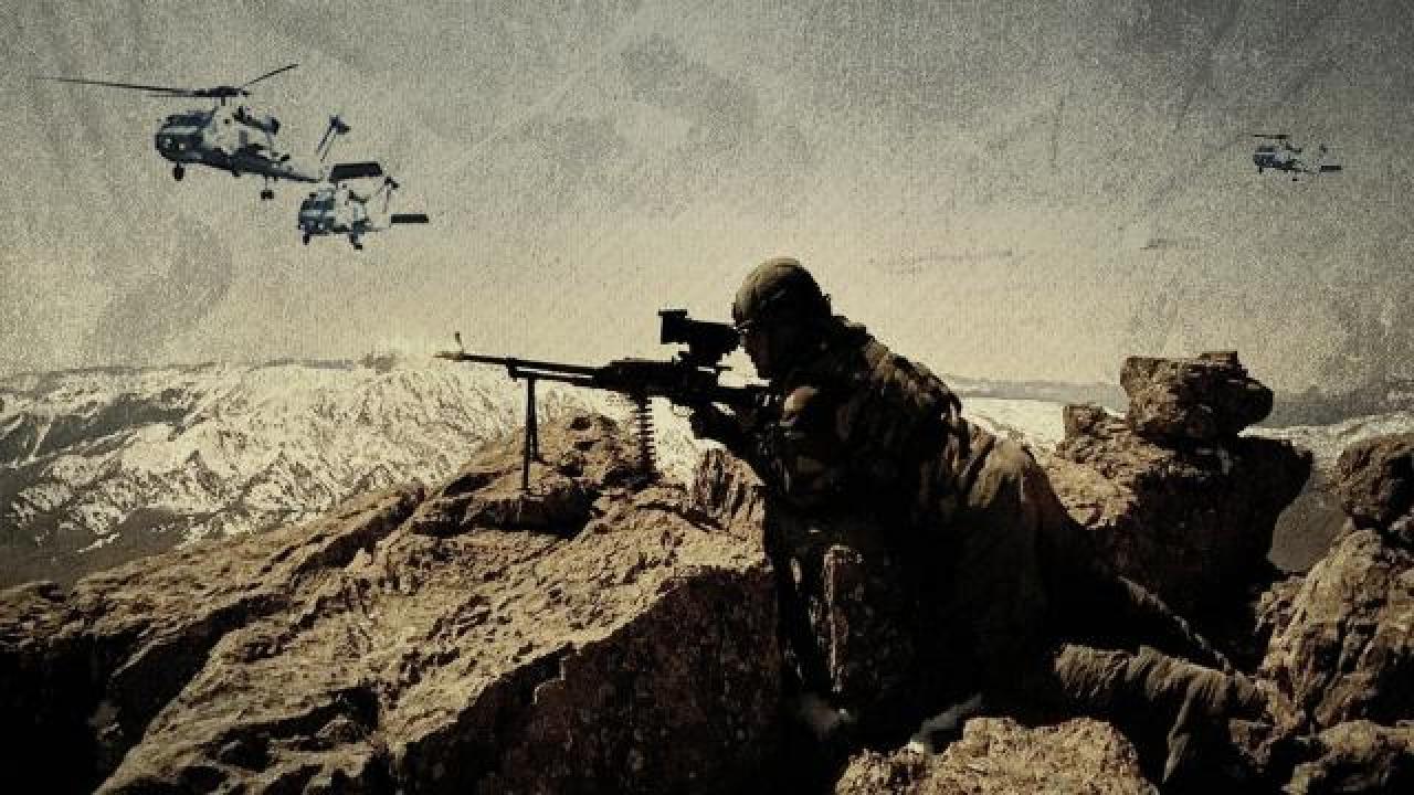 Türkiyənin Barış bulağı bölgəsində 7 terrorçu zərərsizləşdirilib