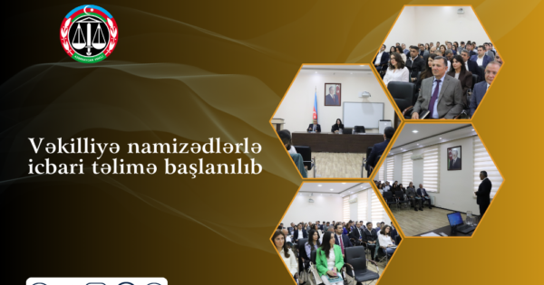 image-vekilliye-namized5