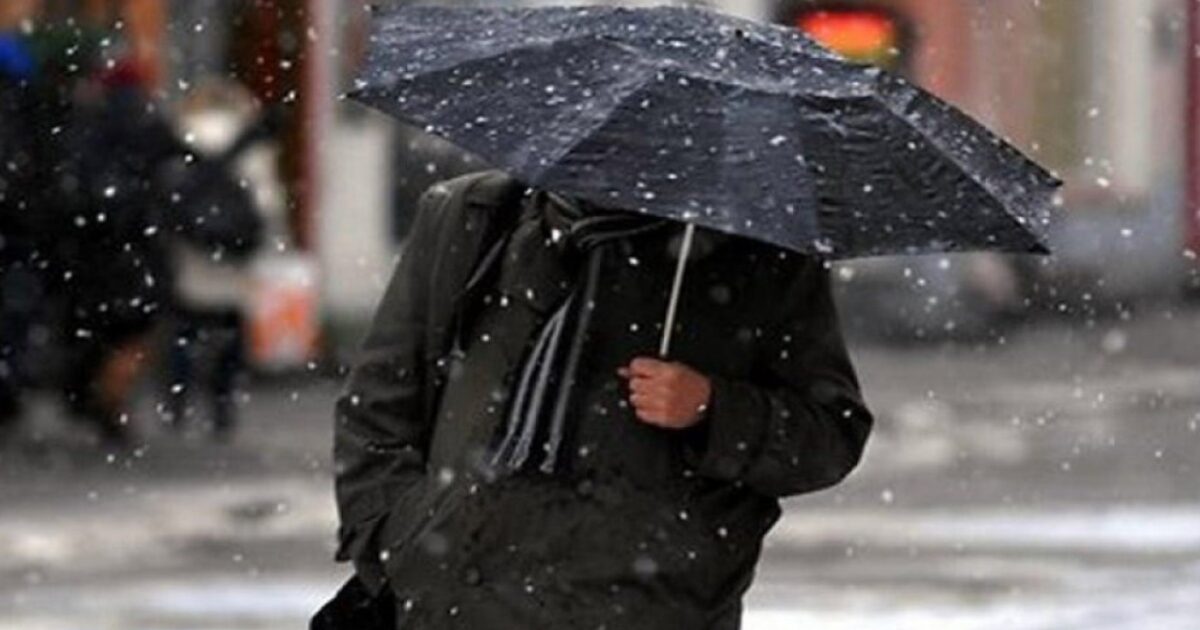 image-1707986613-659d083f27cc9659d083f27cca1704790079659d083f27cc7659d083f27cc8