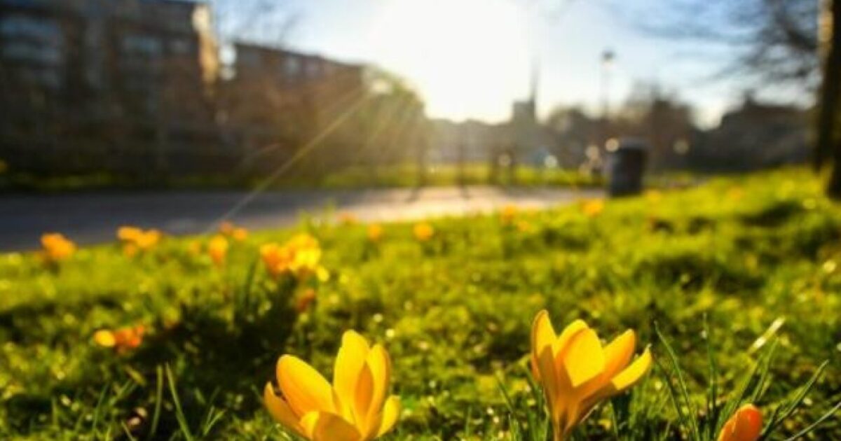 image-1709024145-qqqqqq