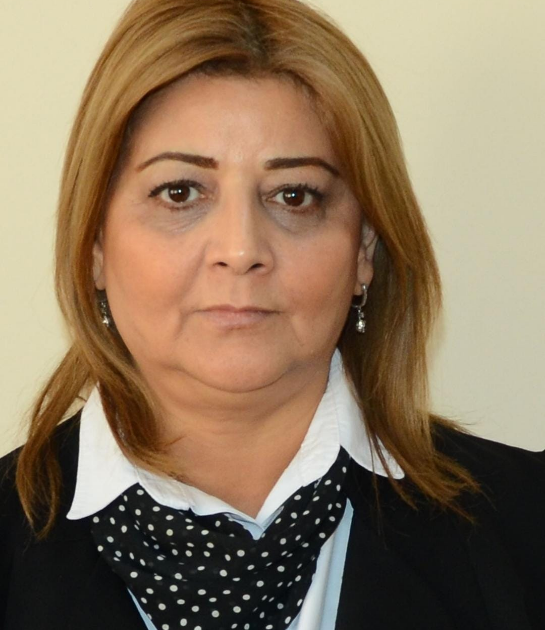 Müzəffər Ali Baş Komandan 1 image-jhhg