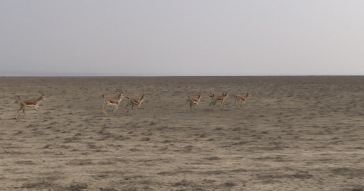 image-1709706990-17097068623110620638_1200x630