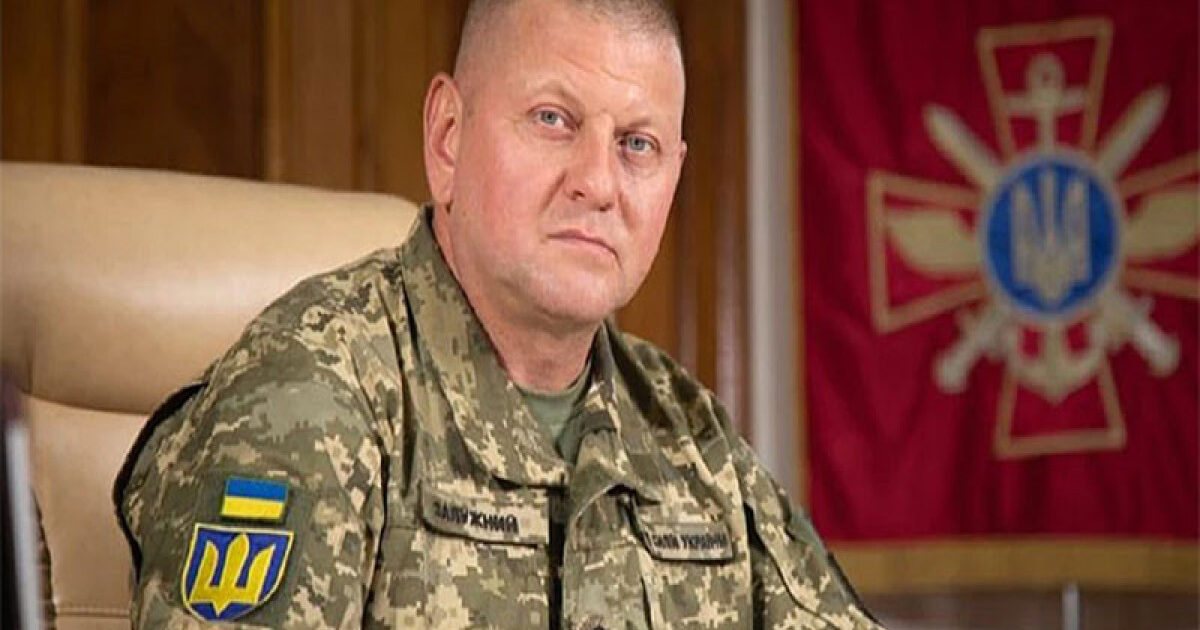 image-663cb63701587663cb637015881715254839663cb63701585663cb63701586