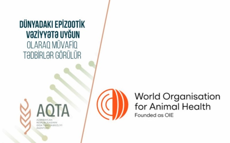 Bu ölkələrdən idxal edilən məhsullara qoyulan məhdudiyyət aradan qaldırıldı 1 image-aqta