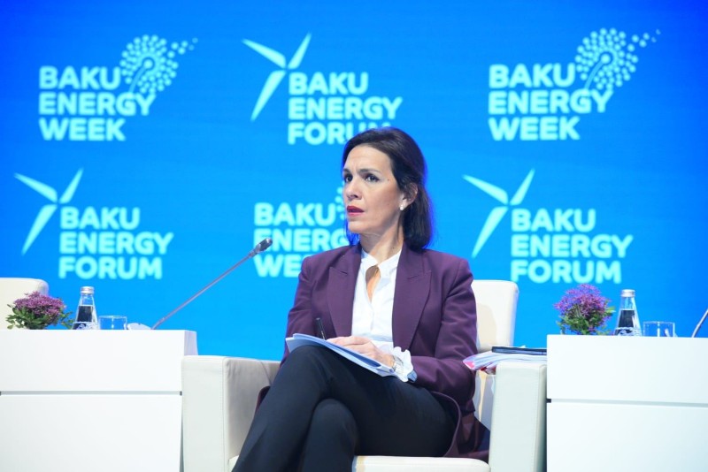 Aİ enerji böhranı iləüz-üzədir - Borrero 1 image-borro