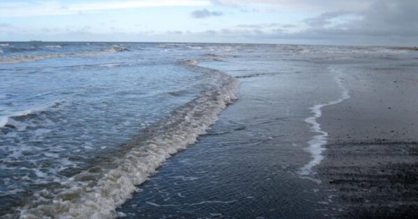 image-deniz
