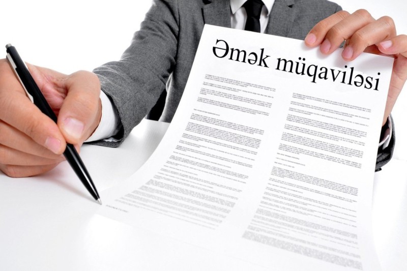 “Əmək və məşğulluq” altsistemi vasitəsilə rəqəmsallaşdırılacaq proseslər artırılır 1 image-emek