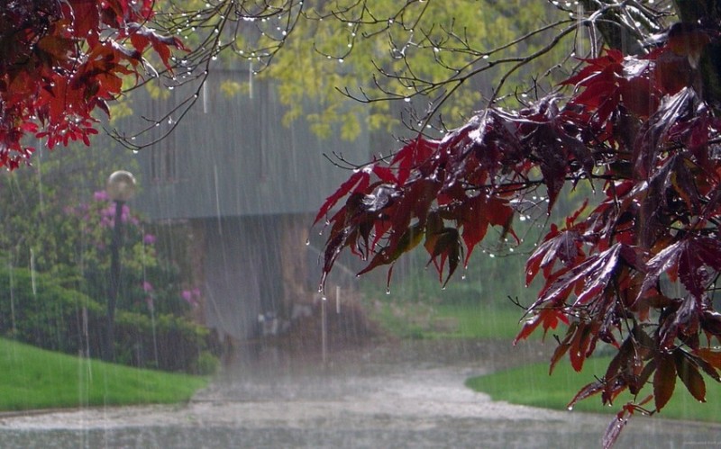 Sabah leysan yağacaq, şimşək çaxacaq - XƏBƏRDARLIQ 1 image-leysan