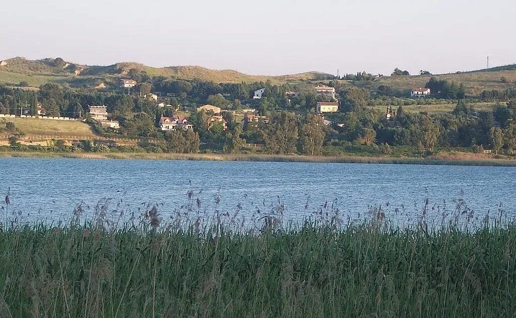 image-0d71019e-a2bc-49a7-a19f-807d3d0935eb