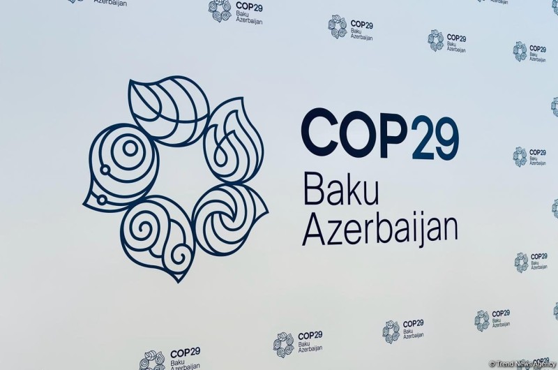 “COP29 QHT Koalisiyası” yaradılıb 1 image-194