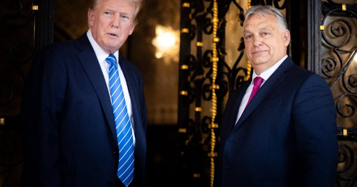 image-25729a04-18d3-4af5-86c4-8d349bcc8746