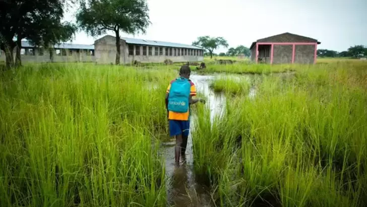 Nigeriyada 4,9 milyon uşağın təcili humanitar yardıma ehtiyacı var 1 image-673f2755a24f5ddddef91f40