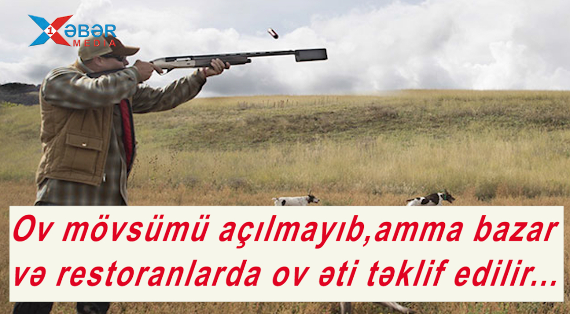 Ov mövsümü açılmayıb,amma bazar və restoranlarda ov əti təklif edilir…- VİDEO 1 image-img_8035