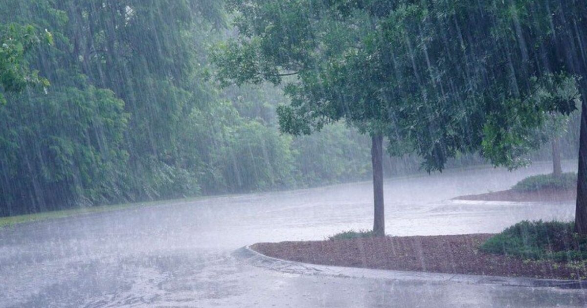 image-1693912441_1693911820-1639386854_67b26972-6585-390a-bf1d-8616ec3676c1_850