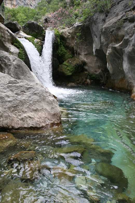 image-2
