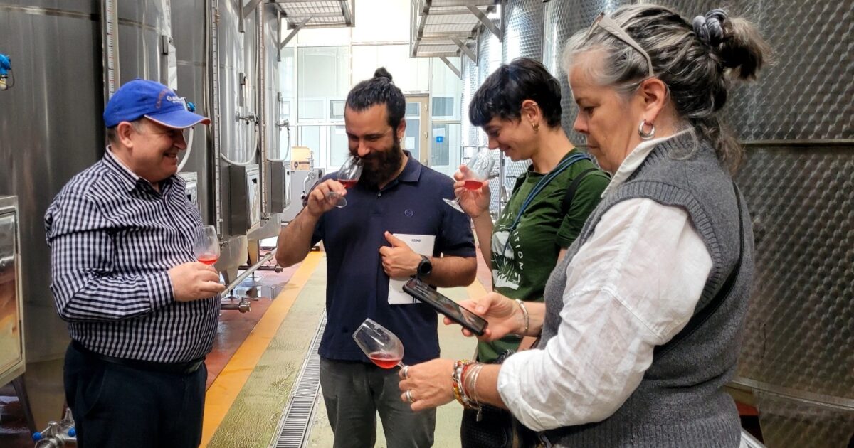 image-49da8b3e-e2c9-4206-890e-b1a139f9c7ae