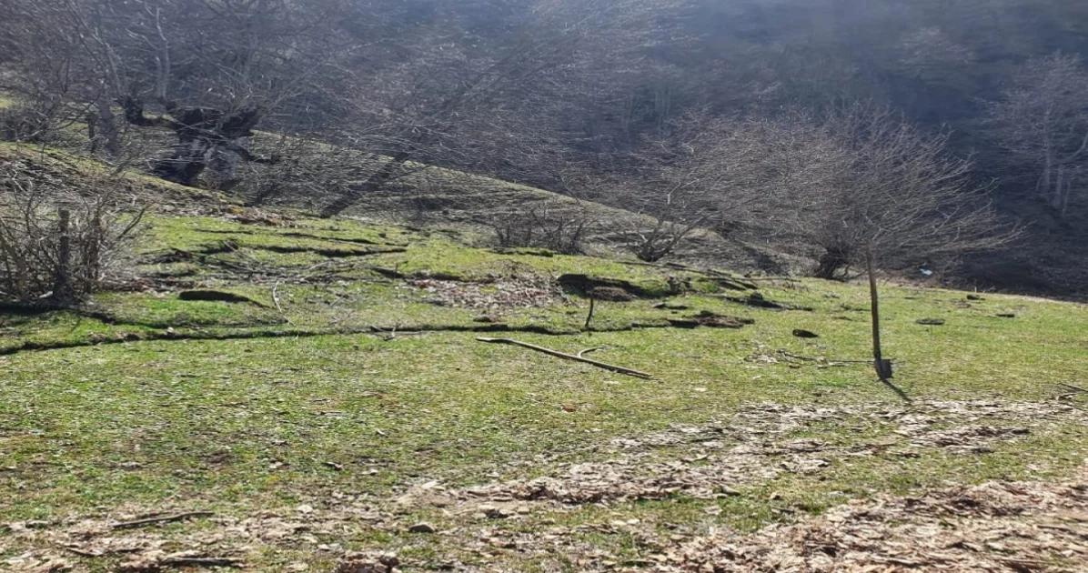 image-pci8gymrimupwpjaidoyfmtzlldljkcnk1j9doya_1200