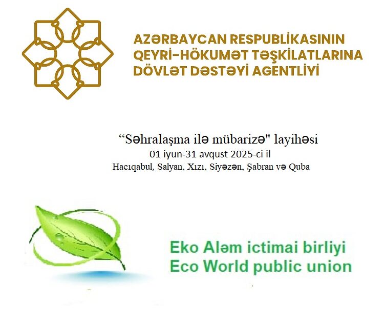 image-1748962855_mixcollage-03-jun-2025-02-40-pm-8554